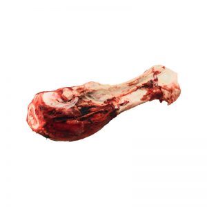 K9 Choice - Dino Bone