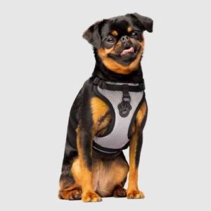 Canada Pooch Everything Harness - Reflective Mesh on Dog