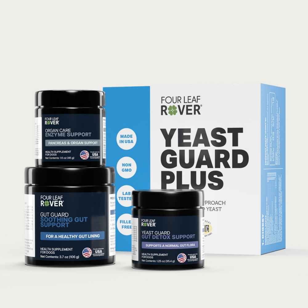 FLR Yeast Guard Plus Four Leaf Rover, Yeast Guard Plus, Four Leaf Rover Yeast Guard Plus, Gut, Gut Health, Yeast, Fungal, Protocol, Detoxification