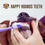 Teeth Cleaning Deposit (LAKESHORE STORE)