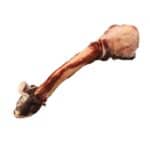 K9 Choice - Kangaroo Leg Bone