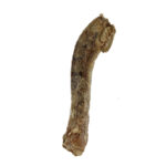 VE Raw Bar Freeze Dried Duck Neck