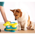 Outward Hound Nina Ottosson Dog Puzzles