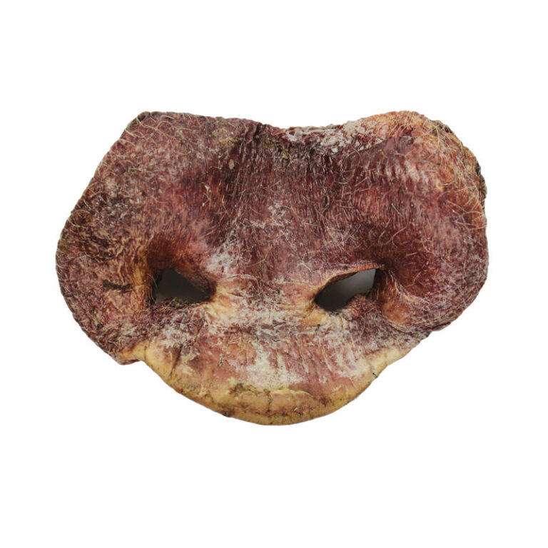 VE Raw Bar Pig Snout