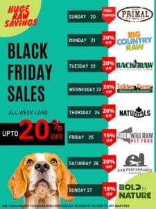 black friday sales