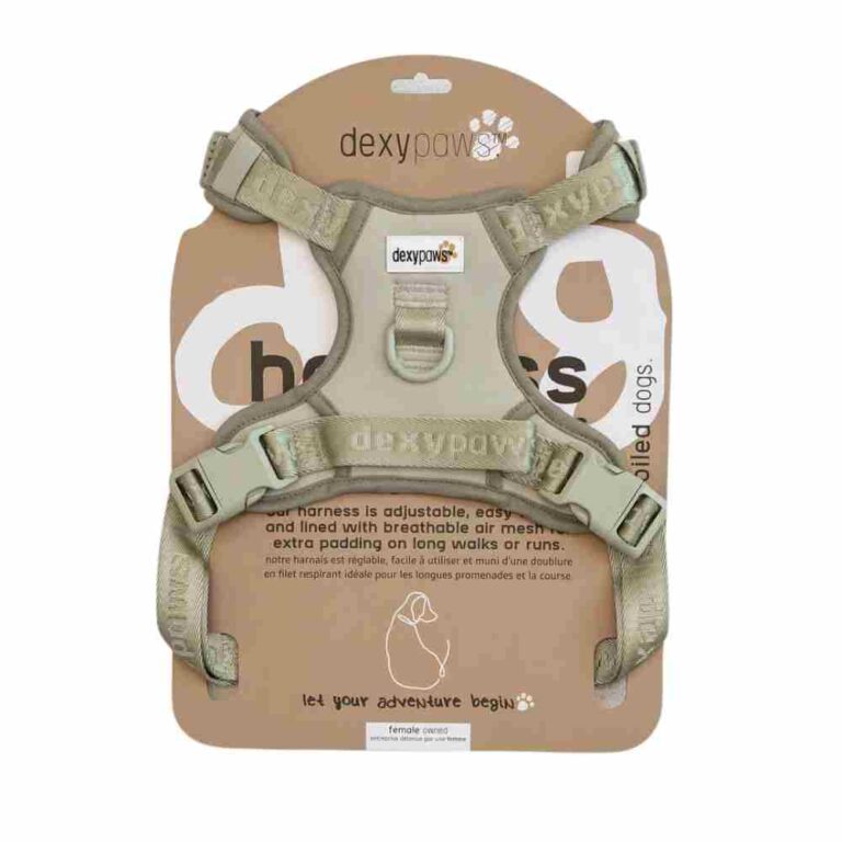 Dexypaws No Pull Harness - Sage Green