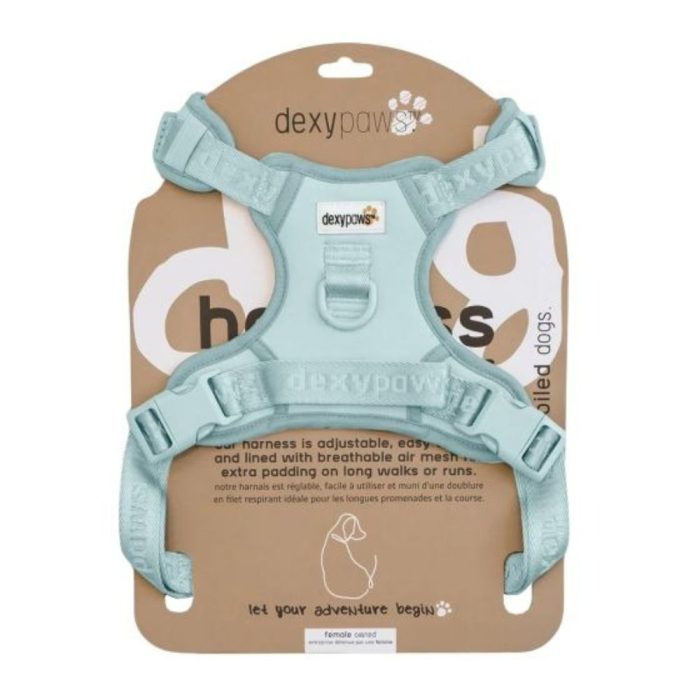 DexyPaws Sky Blue Harness Dog