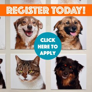 PET ADOPTION PROGRAM register link