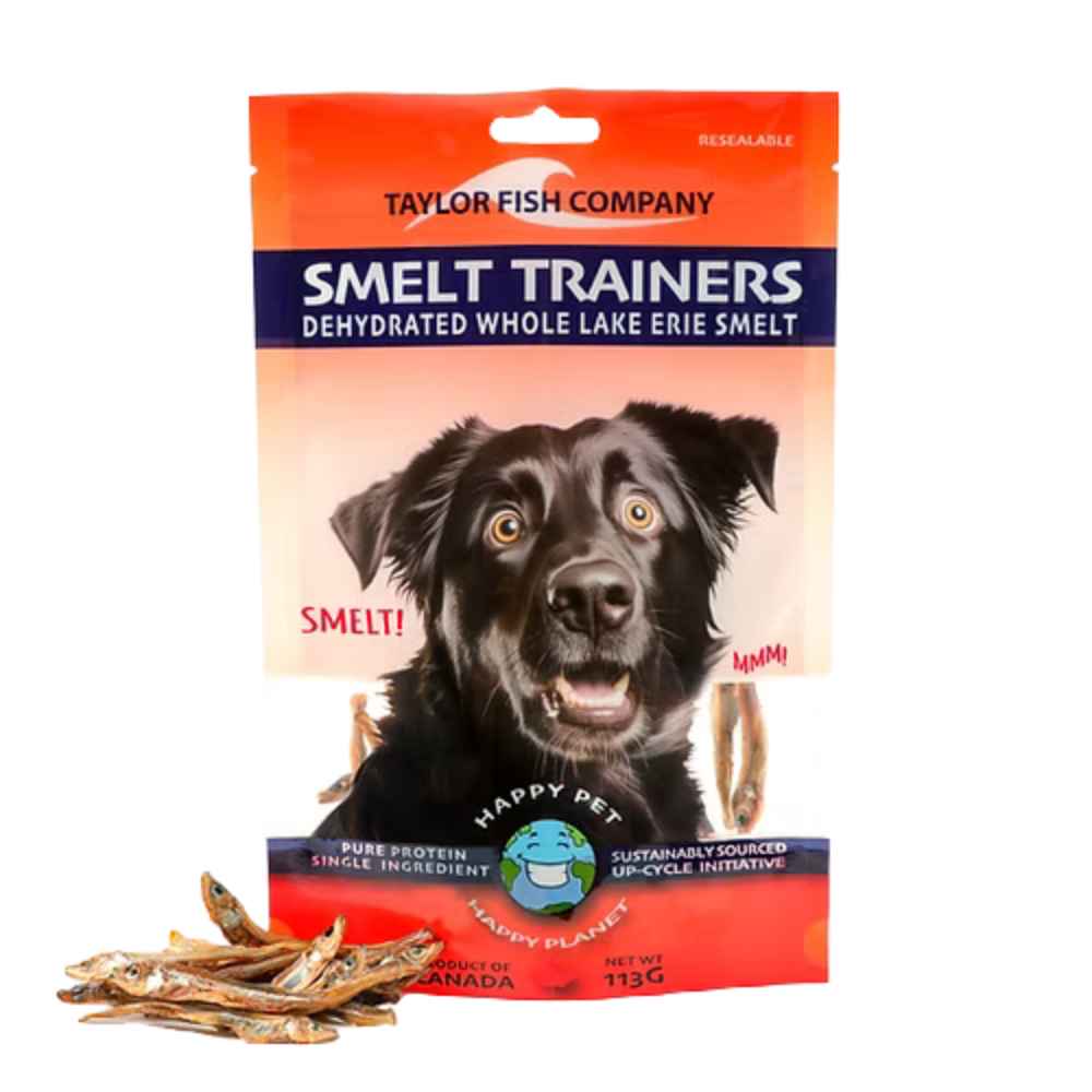 Smelt Trainers Front Taylor Fish Company, Fish Treat, Dehydrated, Smelt, Smelt Trainer