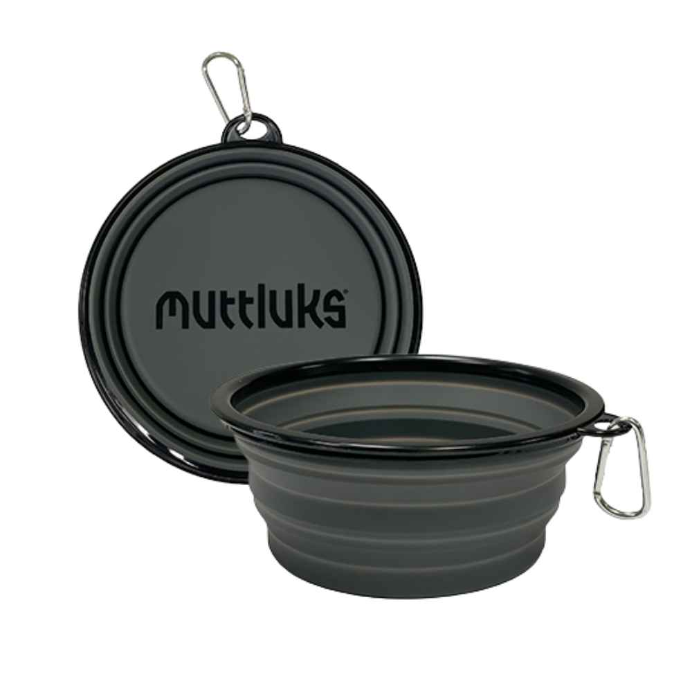 Muttluks Collapsible Bowl Muttluks Collapsible Bowl, Muttlucks, Bowl, Collapsible Bowl, Travel, Travel Accessory, Feeding Accessory