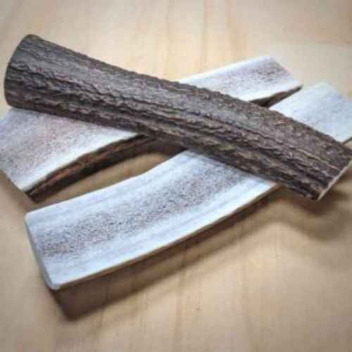 Snack Bar - Antler - Half Split Antler, chew, long lasting, treat