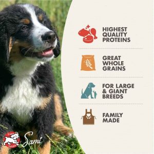 Fromm Gold, Gold, Fromm, Dry Food, Dog, Dry, Grain