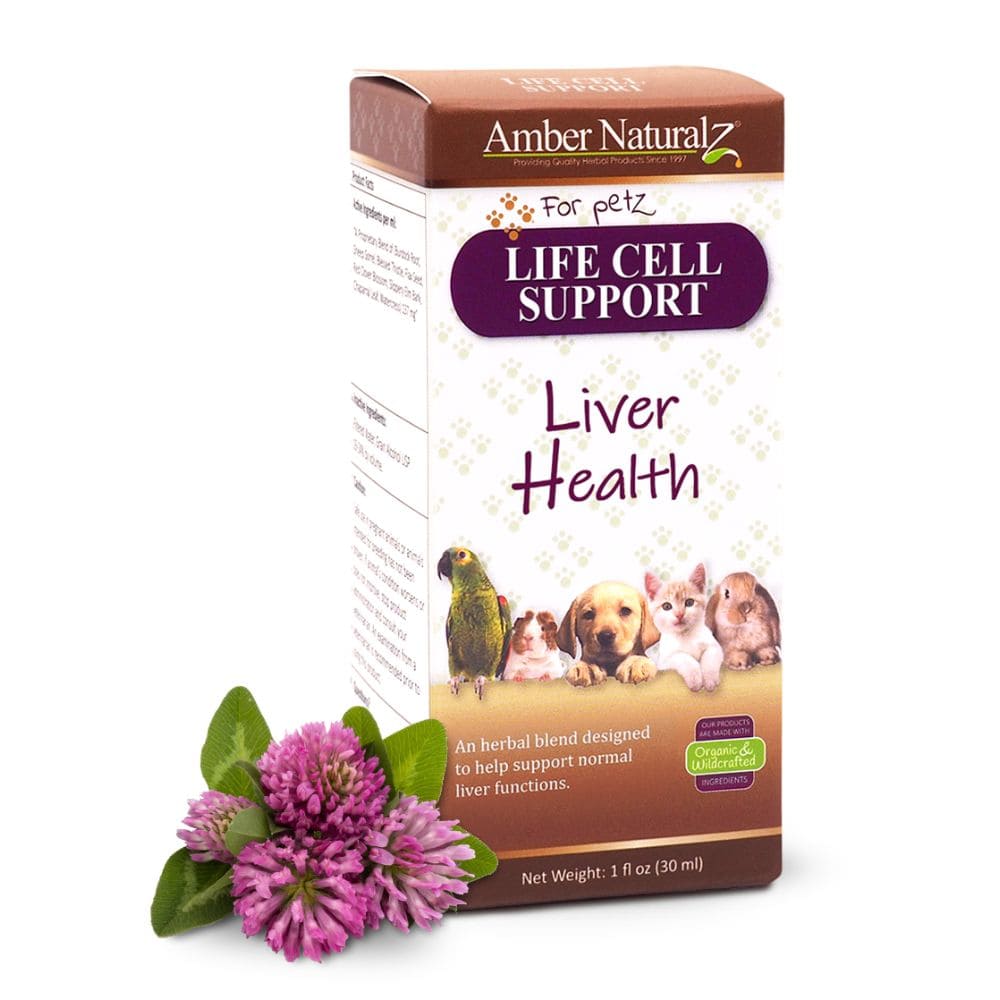 Amber Naturalz - Life Cell Support Amber Naturalz - Life Cell Support