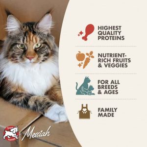 Fromm Four-Star Cat Dry, Fromm, Dry Food, Cat, Cat Food, Fromm