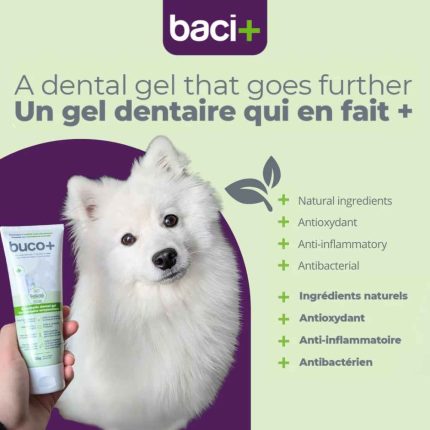 Baci Enzymatic Toothpaste, Tooth, Toothpast, Enzymatic Toothpaste, Baci+, Teeth, Oral, Oral Health, Dental, Dental Care, Oral Hygiene