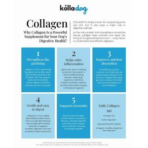 Kolla Liquid Collagen, Kolla, Liquid Collagen, Collagen, Hip and Joint, Senior, Mobility, Skin Health, Skin, Dog, Cat, Collagen Peptides