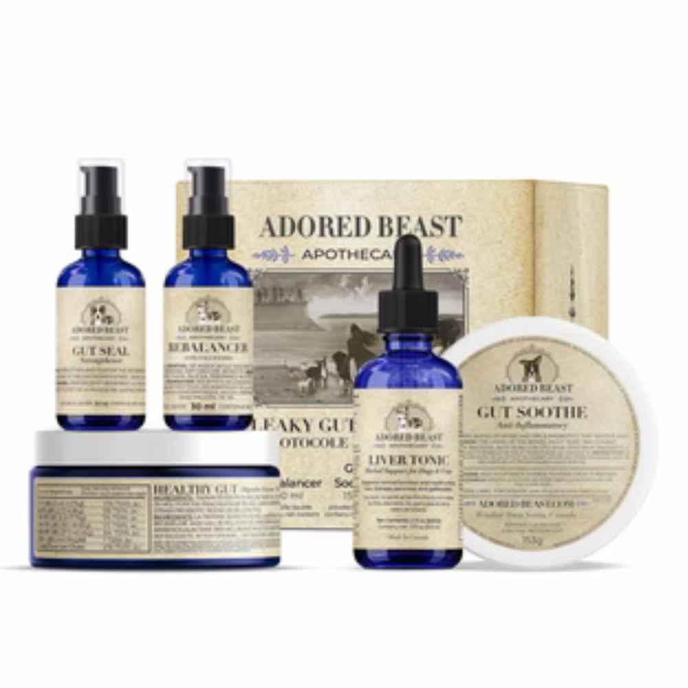 Leaky Gut Protocol Adored Beast, Leaky Gut Protocol