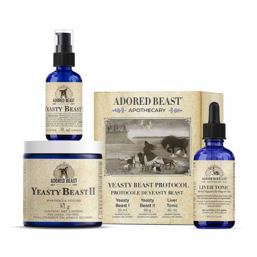Yeasty Beast Protocol Yeasty Beast Protocol Adored Beast Apothecary Liver Tonic Yeasty Beast 1 and 2 homeopathic yeast treatment